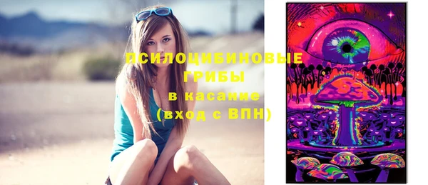 МДПВ Липки