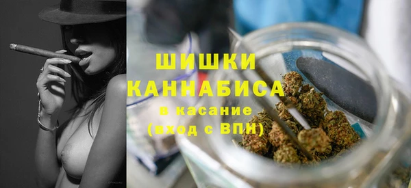 МДПВ Липки
