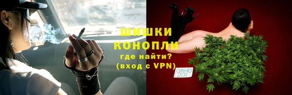 МДПВ Липки