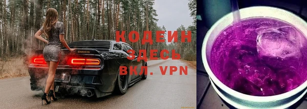 МДПВ Липки